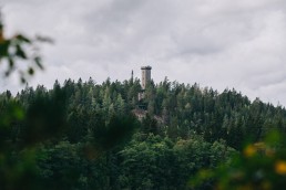 Kotimaan matkailu Aulangonjärven kierros / Sibeliuksen metsä - Luontopolut