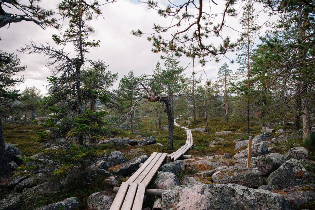 Aavasaksa – Tornionjokilaakson lumoava luontokohde | Kaukokaipuu