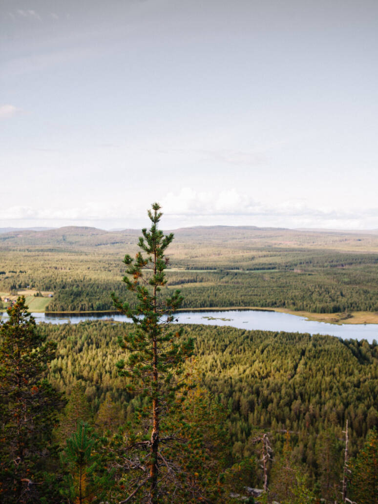 Aavasaksa – Tornionjokilaakson lumoava luontokohde | Kaukokaipuu