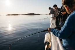 Kalastus Norjan vuonoilla