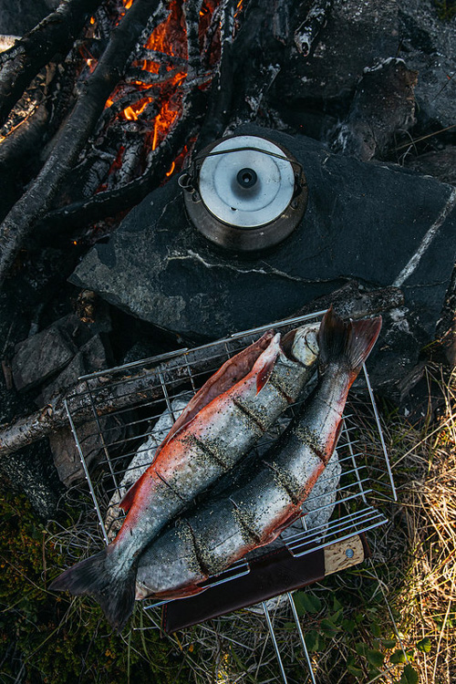 Kalastus Norjan tuntureilla – vinkit ja parhaat tärpit | KAUKOKAIPUU