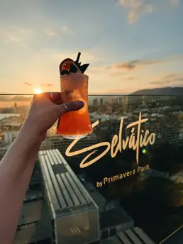 Selvaticon kattoterassibaari